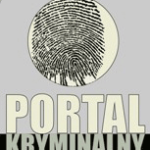 portakryminalny.pl